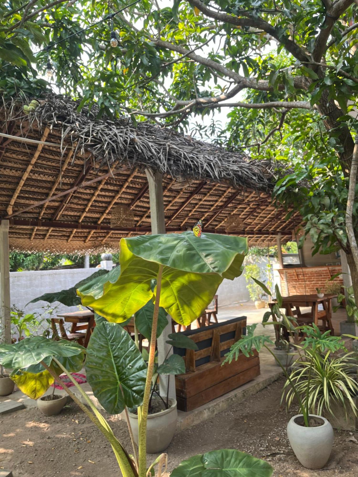 Avalon Apartment Weligama Exterior foto